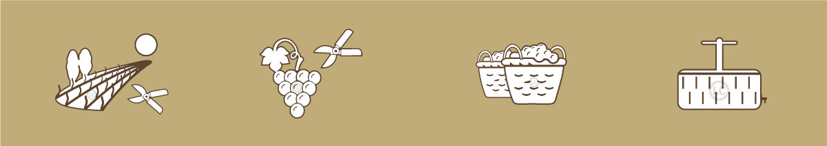 étape 1 vinification