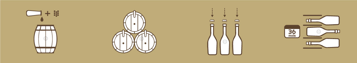 étape 2 vinification