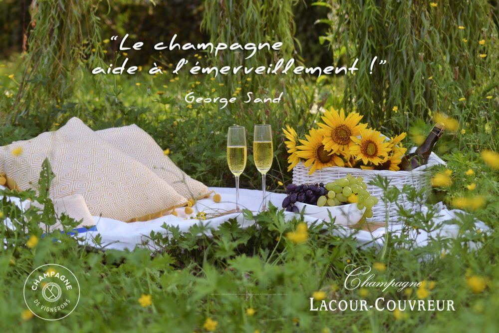 pique-nique sur l’herbe, champagne Lacour-Couvreur