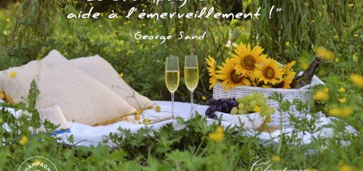 pique-nique sur l’herbe, champagne Lacour-Couvreur